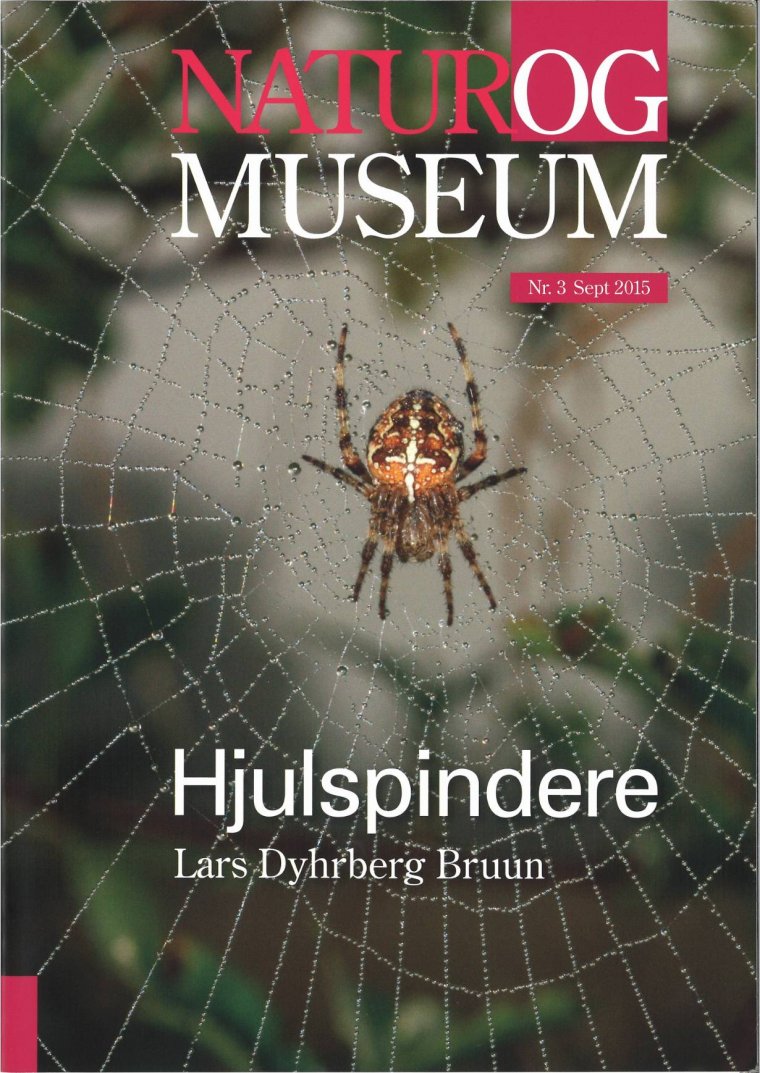 Hjulspindere